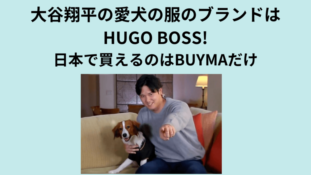 ブログタイトルと大谷翔平と犬の画像